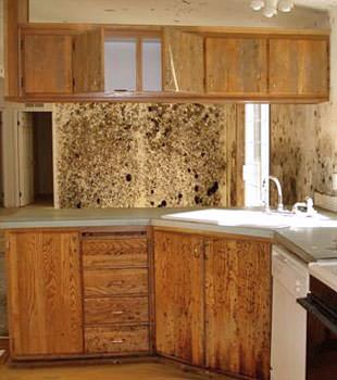 kitchen flood