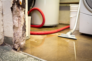 leaking appliance cleanup