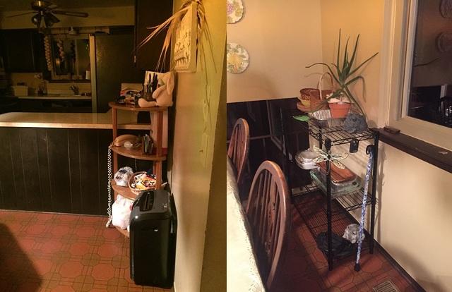 Hoarder Clean-up - Sterling Heights MI