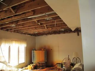 Mold Remediation in Bruce Township, MI