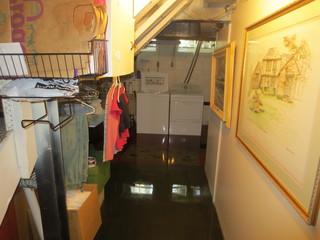 Basement Drain Back-up in Birmingham, MI
