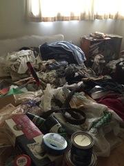 Hoarder Clean-out West Bloomfield, MI