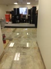 Frozen Pipe Break & Flood Damage Repair in Madison Heights