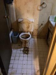 Hoarder Cleaning - Bathroom Project